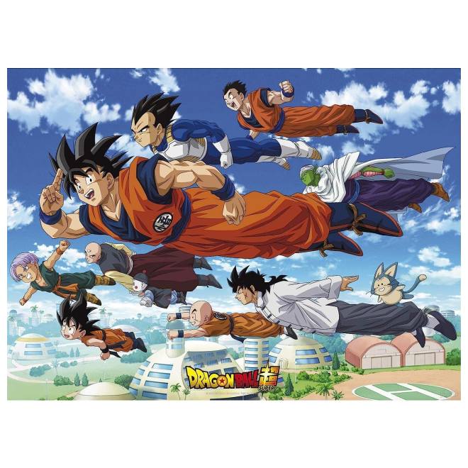  ABYstyle - DRAGON BALL - Poster His Goku story (91.5x61):  Posters & Prints