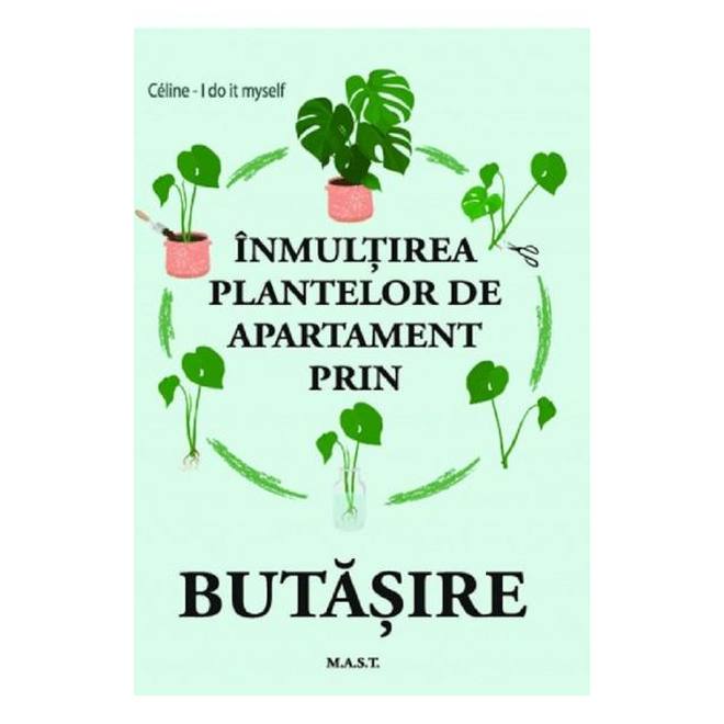 Inmultirea plantelor de apartament prin butasire