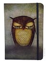 Agenda A5,96f,cu elastic,Grumpy Owl