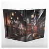 Caiet A5 Lenticular Harry Potter, Diagon Alley - Wow Stuff