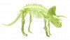 Schelet Triceratops reflectorizant, Brainstorm, 6 ani+