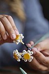 LEGO Creator Expert - Buchet de flori 10280