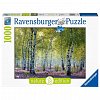 Puzzle Ravensburger - Padurea de mesteacan, 1000 piese
