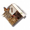 SES - Exploreaza - Hotel pentru insecte, 5 ani plus