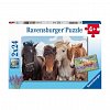 Puzzle Cai, 2X24 piese