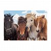 Puzzle Cai, 2X24 piese