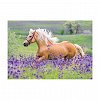 Puzzle Cai, 2X24 piese