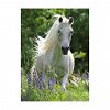 Puzzle Cal alb, 100 piese