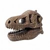 Kit de sapat - Craniu T-Rex