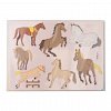Sabloane creative Zoo, set 6 bucati Folia