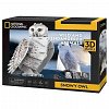 Puzzle 3D CubicFun NG - Bufnita polara, 62 piese, 8 ani plus