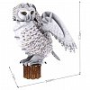 Puzzle 3D CubicFun NG - Bufnita polara, 62 piese, 8 ani plus