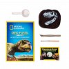 Kit creativ - Sa cautam dinozauri