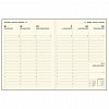 Agenda A4, datata, 144 pagini, hartie ivory, Dakota, bordeux