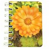 Carnet cu spira 7 x 10 cm, 75 file, velin, Flori portocalii