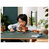 LEGO Minecraft - Casa-broasca 21256