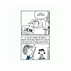 PEANUTS. Ghiduri pentru viata. Viata prin ochii lui Linus