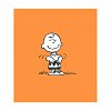 PEANUTS. Ghiduri pentru viata. Ghidul Peanuts pentru fericire