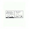 PEANUTS. Ghiduri pentru viata. Filozofia lui Snoopy