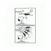 PEANUTS. Ghiduri pentru viata. Filozofia lui Snoopy