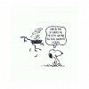 PEANUTS. Ghiduri pentru viata. Filozofia lui Snoopy