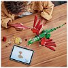 LEGO Creator - Dragon medieval 31161
