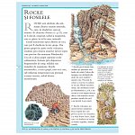 Enciclopedia stiintelor pentru copii