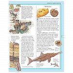 Enciclopedia stiintelor pentru copii