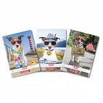 Caiet A5, 48 file, 70 g-mp, matematica, Cool Dog