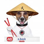 Caiet A5, 48 file, 70 g-mp, matematica, Cool Dog