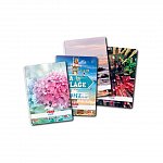 Caiet cu spira A5, 100 file, 70 g-mp, dictando, Enjoy Life