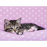 Puzzle Pisicuta pe patura, 200 piese, Ravensburger