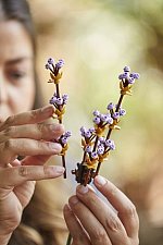LEGO Creator Expert - Buchet de flori 10280