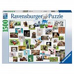 Puzzle Colaj cu animale, Ravensburger, 1500 piese