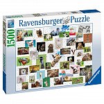 Puzzle Colaj cu animale, Ravensburger, 1500 piese