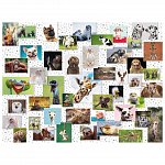 Puzzle Colaj cu animale, Ravensburger, 1500 piese