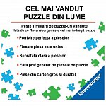 Puzzle Ravensburger - Puzzle and Play - Barca piratilor, set 2 puzzle-uri x 24 piese, plus 4Y