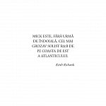 Muzica. Scrisori remarcabile