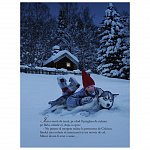 Dorinta ursuletului polar