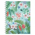 Caiet cu spira A5, 100 file, 70 g-mp, matematica, Ladylike Jungle