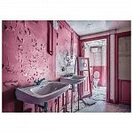 Puzzle Baie roz parasita, 1000 piese