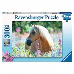 Puzzle Calut pe camp de flori, 300 piese