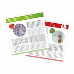 Lamele cu 20 de probe pentru Microscop, Buki