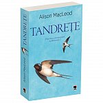 Tandrete
