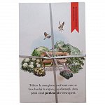 Traiesc la marginea unei lumi care se face bucati la cativa pasi distanta.Asta pana cand pericolul le descopera