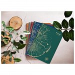Caiet A4 Forever Clairefontaine, 48f dictando, hartie reciclata, albastru cobalt