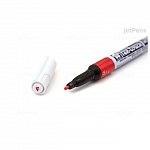 Marker cu vopsea Sakura Pen Touch, F, red
