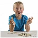 Kit creativ - Sa cautam dinti de rechini