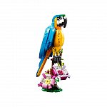 Lego Creator - Papagal exotic 31136