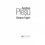 Despre ingeri